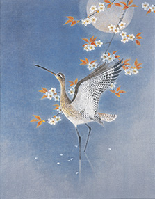 松伯美術館｜上村淳之展 「命の声を識る」