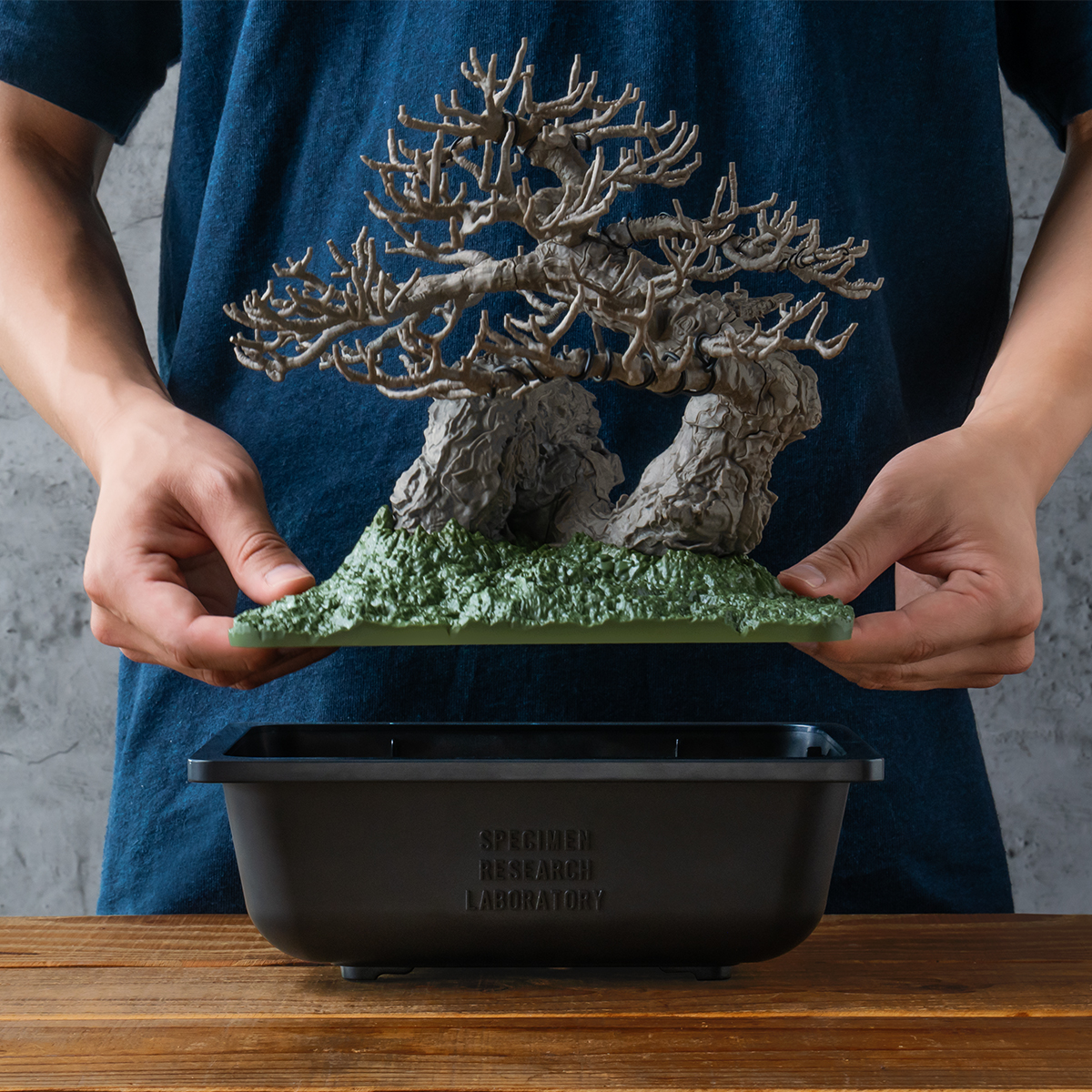 Neighborhood and Bandai Spirits. The launch of the bonsai plastic
