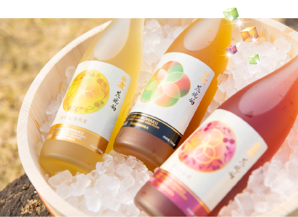 白鹿 HAKUSHIKA｜辰馬本家酒造株式会社