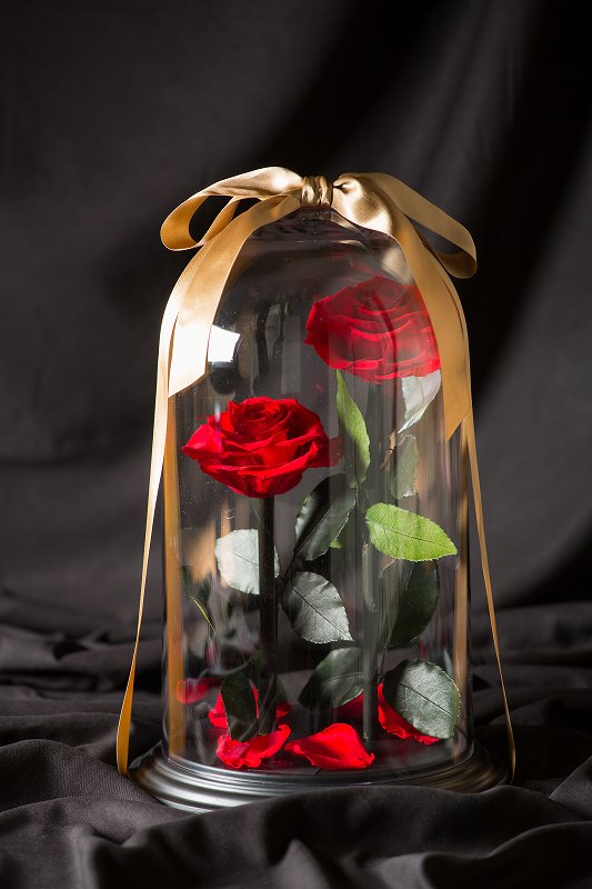 特別なプレゼントや開店祝いに】DESTINY ROSE（デスティニーローズ