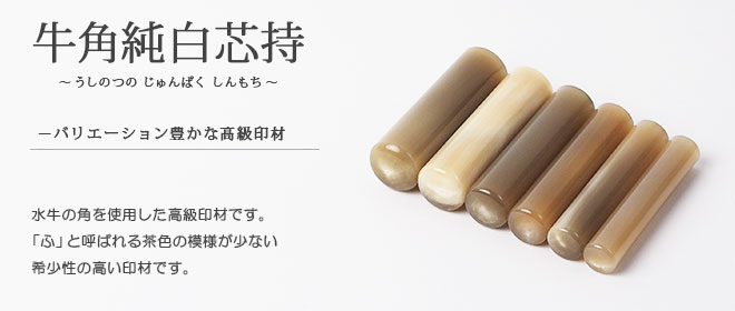 オランダ水牛純白芯持の材質について | いんかんの匠ドットコム