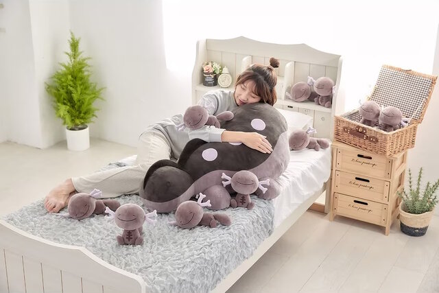 ポケモン新グッズ「いやされドオーぬいぐるみ」追加予約が実施決定！30