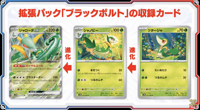 ポケカ』新弾「ブラックボルト/ホワイトフレア」初公開！イッシュ地方