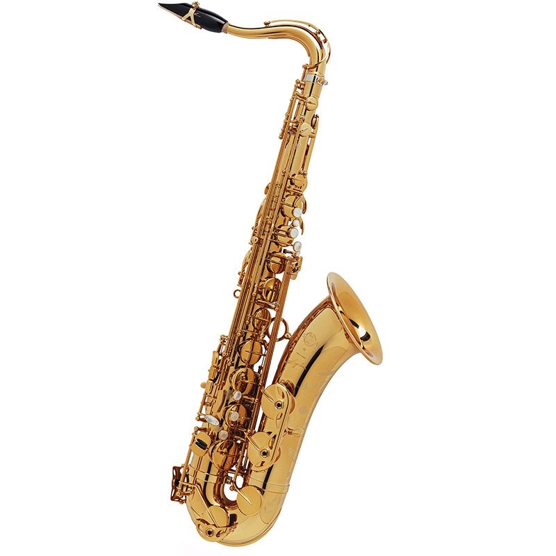 Selmer Paris テナーサックス セルマー Signature シグネチャー DARK