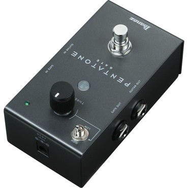 Ibanez 【WEB限定在庫処分セール】 PTGATE（アイバニーズ）ノイズ
