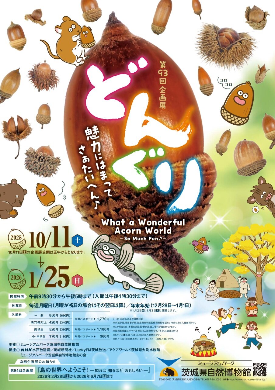 企画展「どんぐり－魅力に はまって さぁたいへん♪－」（茨城県坂東市