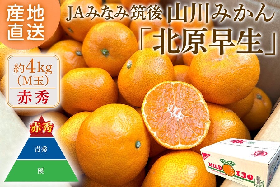 2025年10月予約開始予定】【限定30箱】◎JAみなみ筑後【赤秀】山川