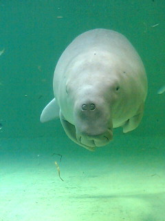 JAWAN（日本湿地ネットワーク）