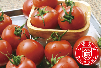トマト | しみずの農産物 | JAしみず