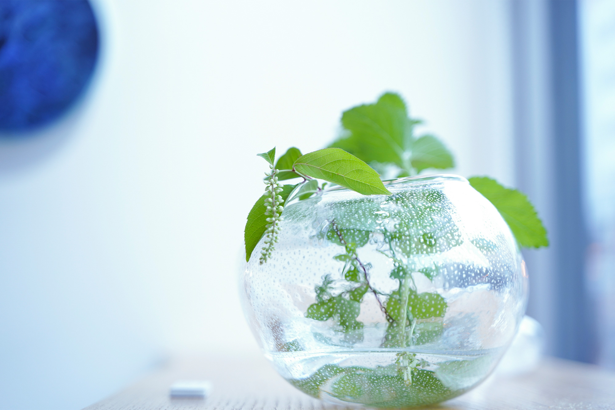 久保 裕子 / Yuko Kubo（日の出ガラス工芸社） – JILL D' ART GALLERY