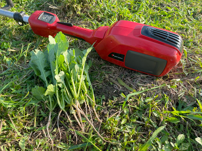 ゼノア肩掛け式刈払機BC4410DW1-EZ/両手ハンドル仕様/トリガーアクセル