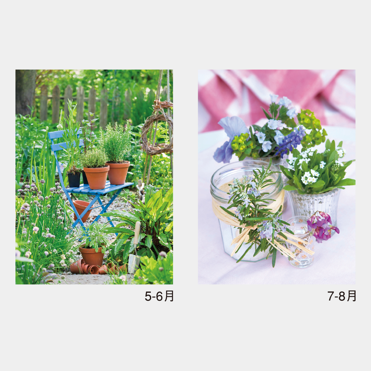 NK-428 スモールグリーン2026年版の名入れカレンダーを格安で販売 - 名