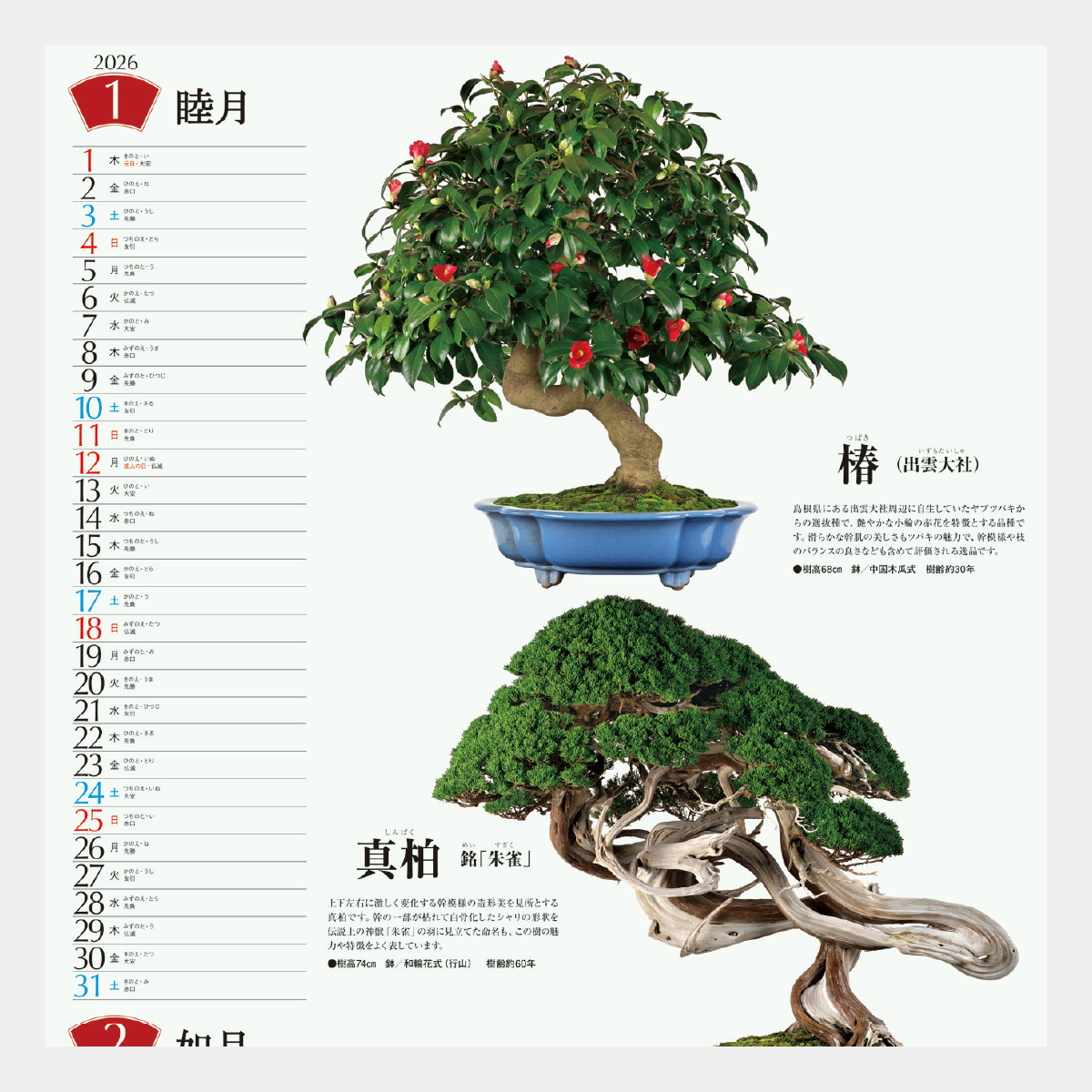 SB-130 盆栽2026年版の名入れカレンダーを格安で販売 - 名入れ