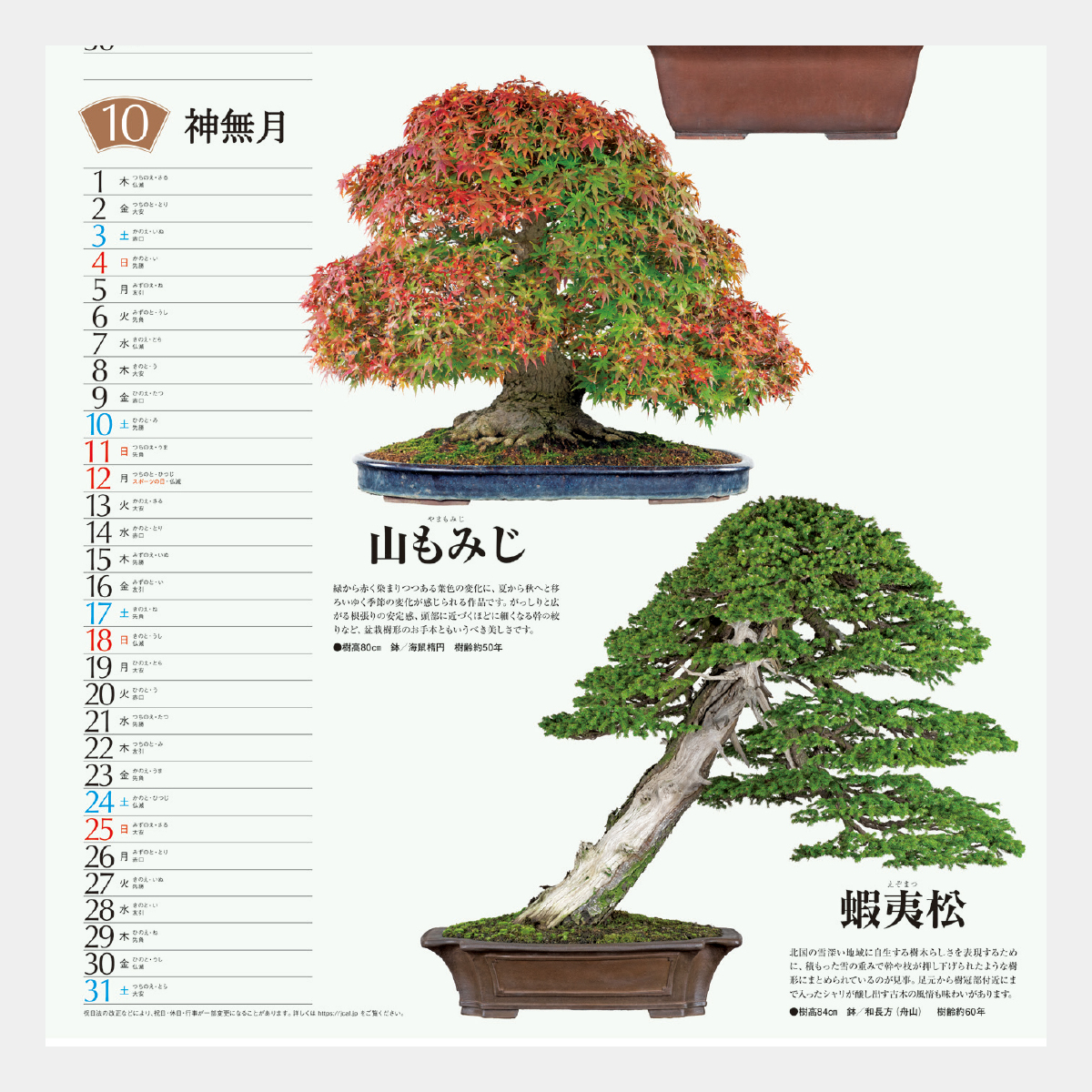 SB-130 盆栽2026年版の名入れカレンダーを格安で販売 - 名入れ