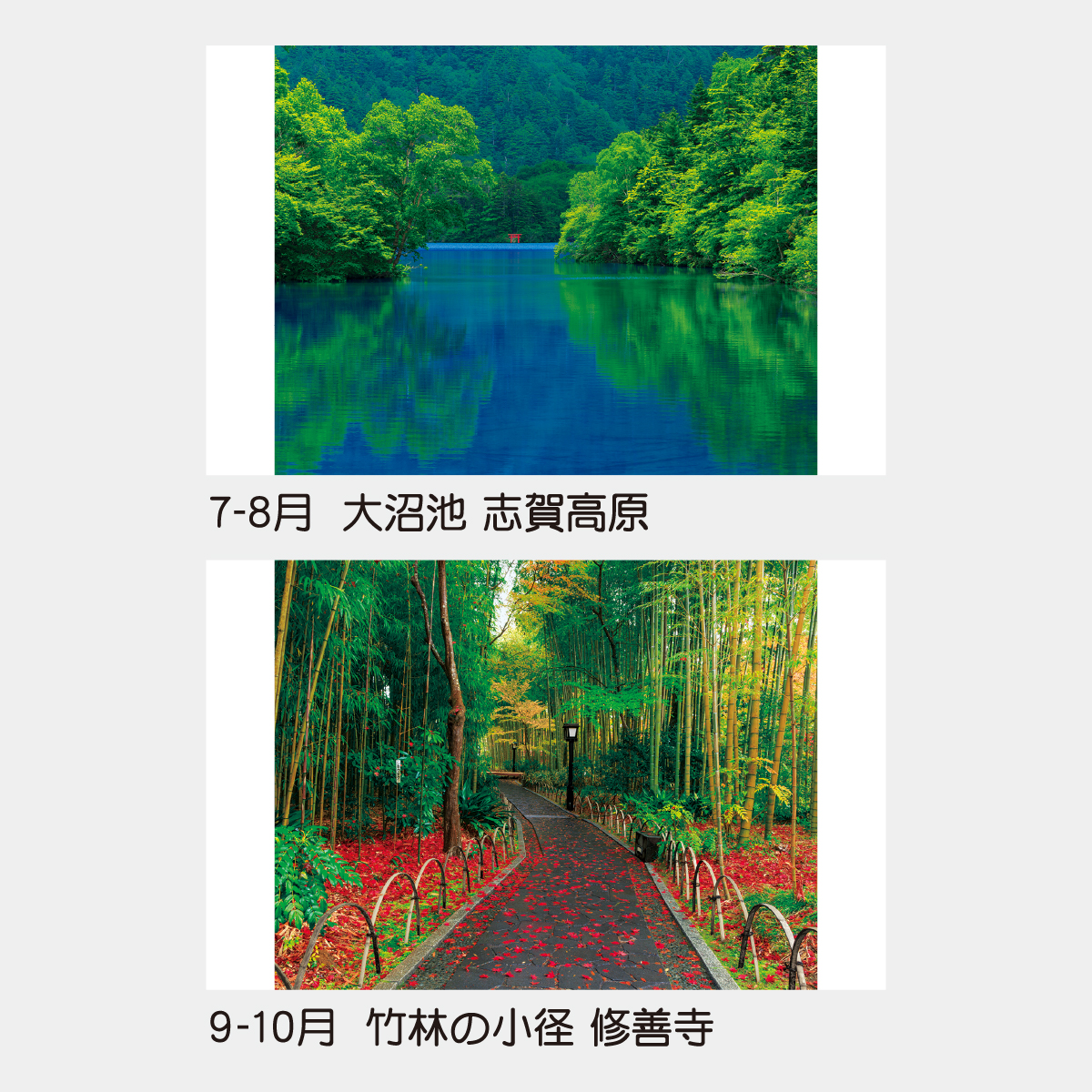 TD-701 四季の情景2026年版の名入れカレンダーを格安で販売 - 名入れ