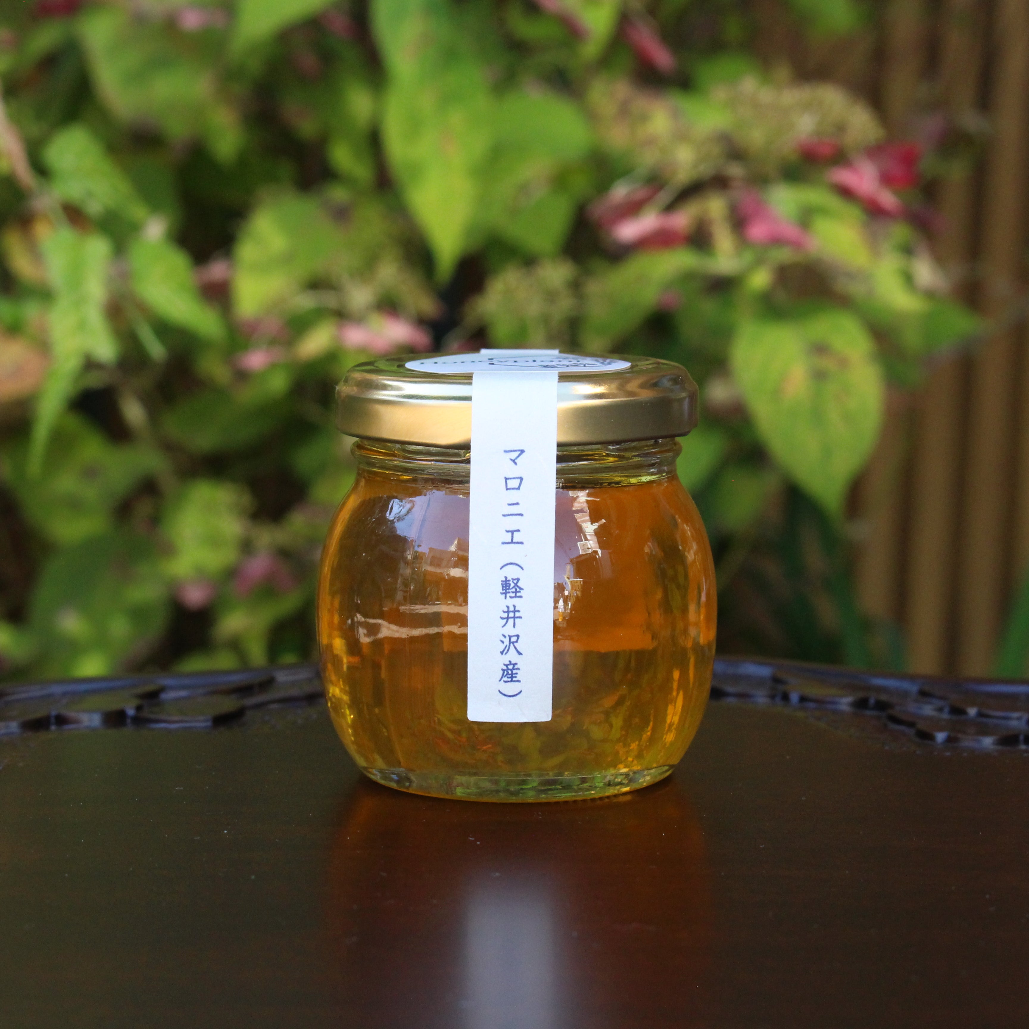 IMG_9347_3456x.jpg?v=1697608039