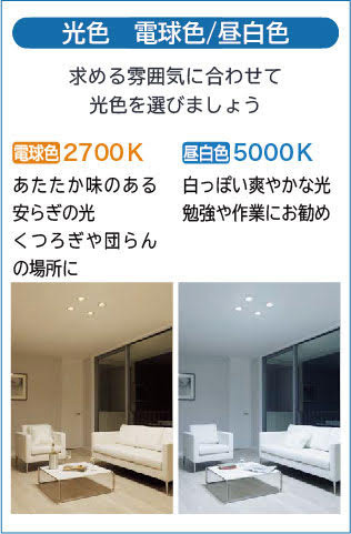 DAIKO 大光電機 ダウンライト DDL-5596YW | 商品紹介 | 照明器具の通信