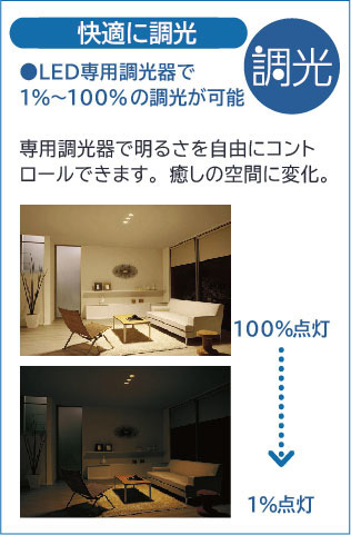 DAIKO 大光電機 ダウンライト(軒下兼用) DDL-5007YWG | 商品紹介