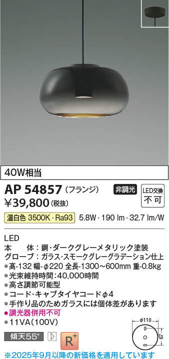 Koizumi コイズミ照明 LEDペンダント AP54857 | 商品紹介 | 照明器具の