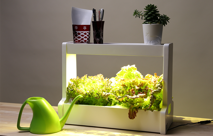 led水耕栽培器Akarina06（OMA06） | おしゃれ照明器具ならMotoM