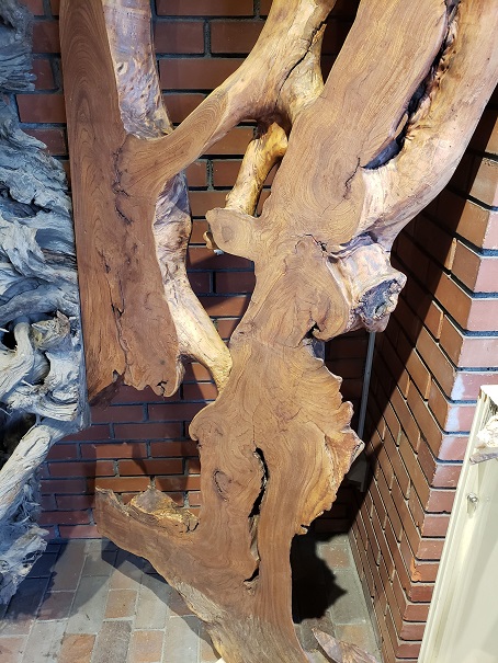 天然木 東京 新宿 東五軒町店展示 欅（けやき・ケヤキ）材 一枚板