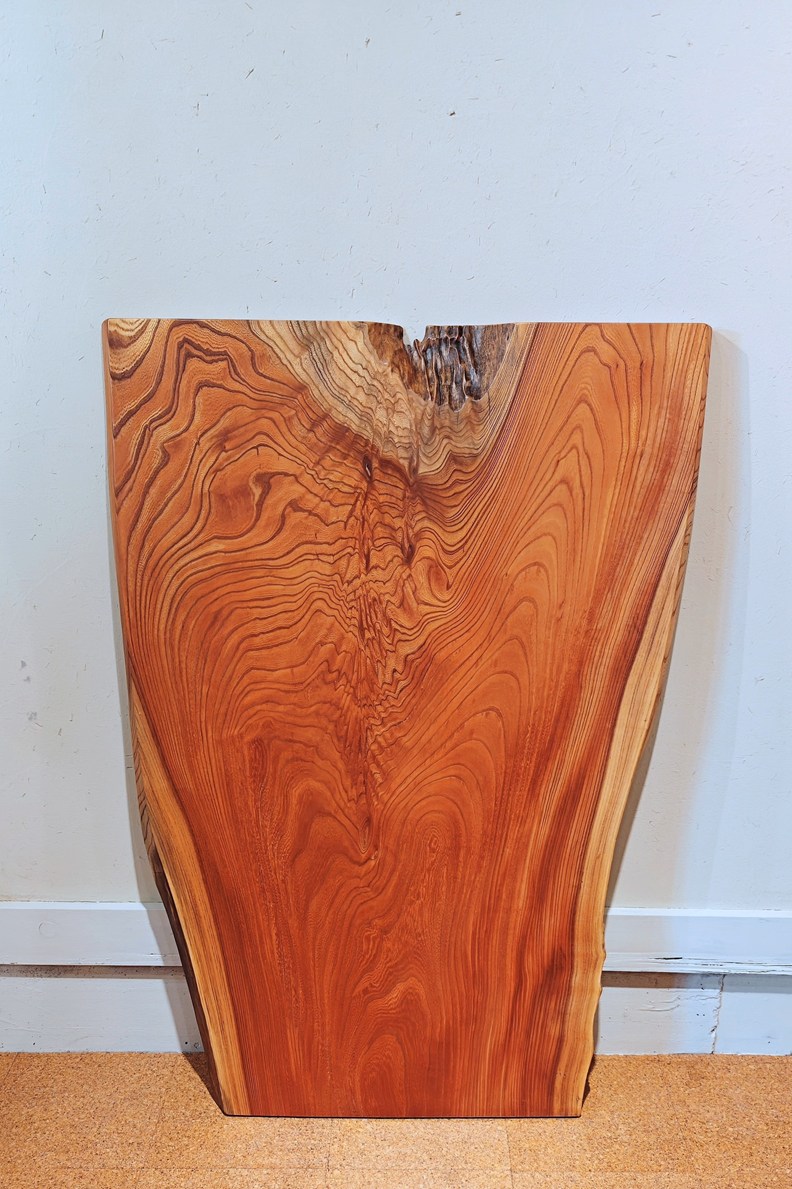 神奈川県 海老名店展示 一枚板 欅(けやき・ケヤキ)材 テーブル用天板