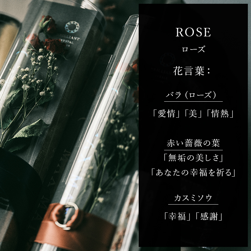 MAXMATERIAブランド、CRYSTALシリーズよりブリリアント