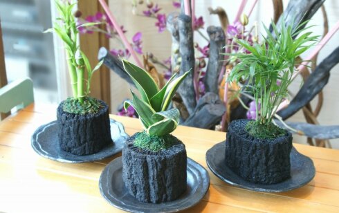 炭製品情報｜炭専門商社 増田屋－炭・火鉢のことなら増田屋