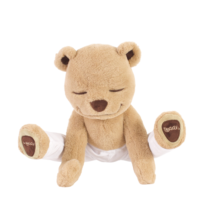 MEDDYTEDDY_2_750x.png.jpg?v=