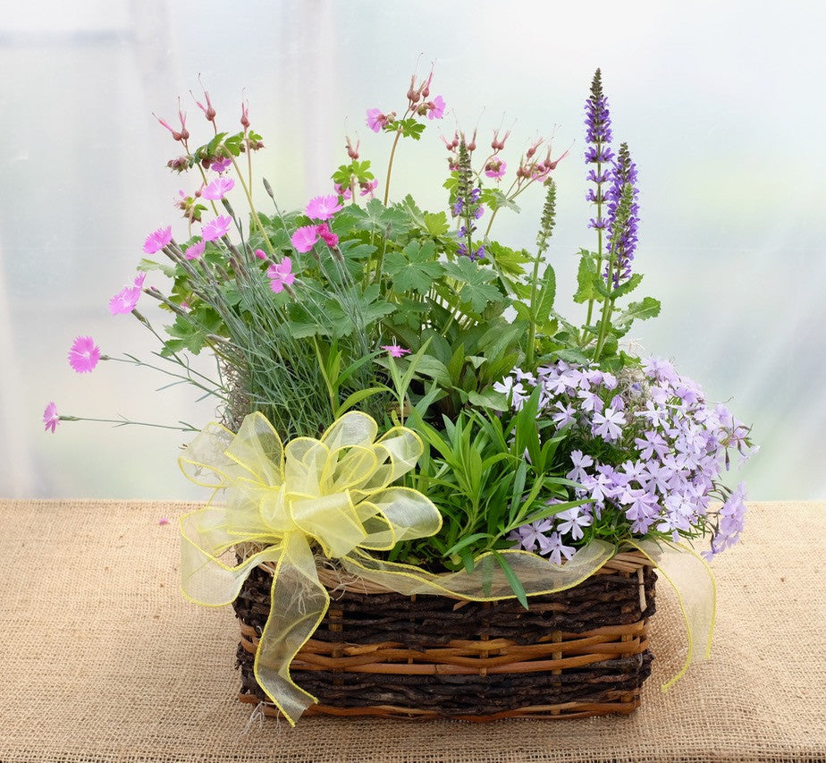 Perennial Garden Basket | Michler's Florist | Lexington, KY