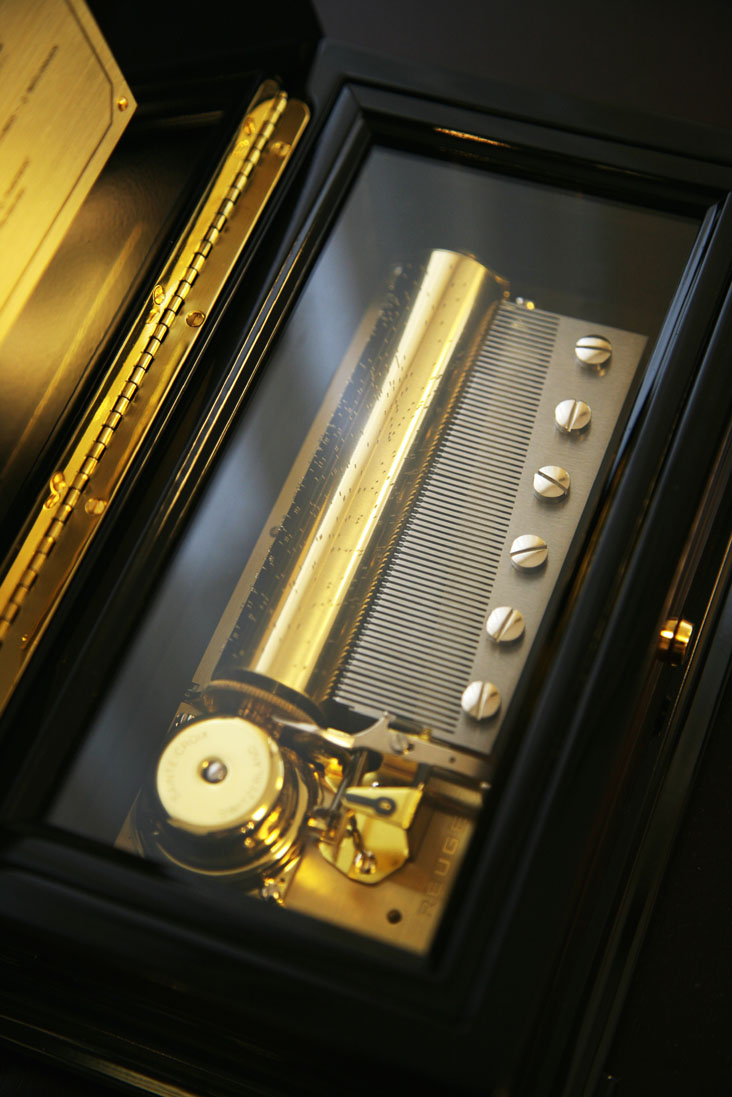 72弁ローズ 療法・セラピー専用