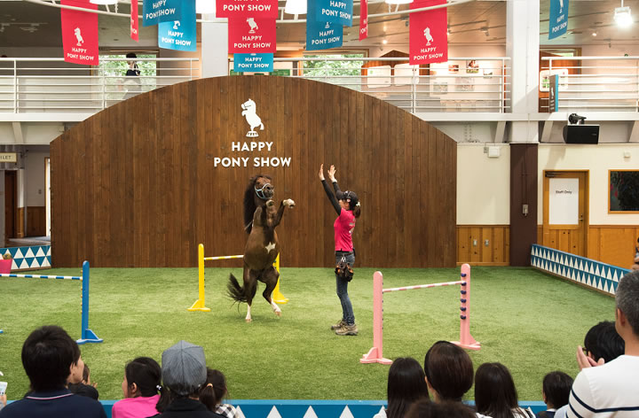 半日で楽しむ - ノーザンホースパーク公式サイト