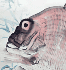 中村左洲/Web書画ミュージアム/長良川画廊