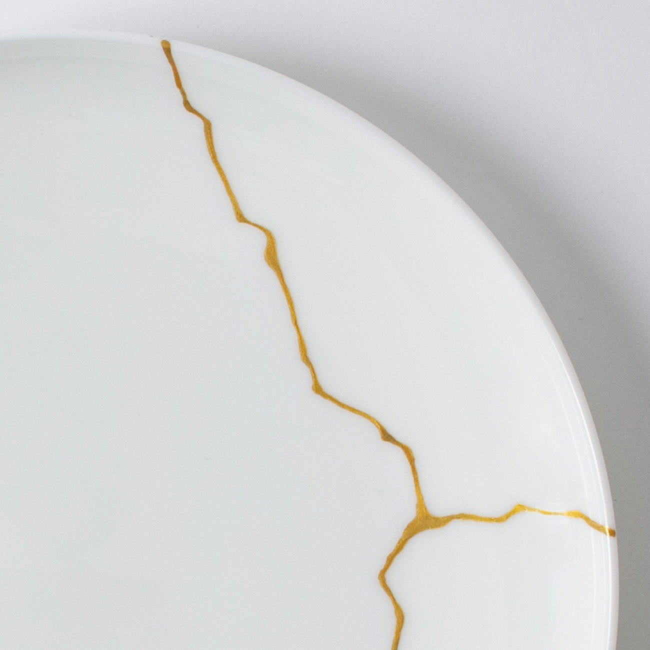 20.5cmプレート(2枚組) A2｜三谷産業様株主優待品｜ニッコー公式