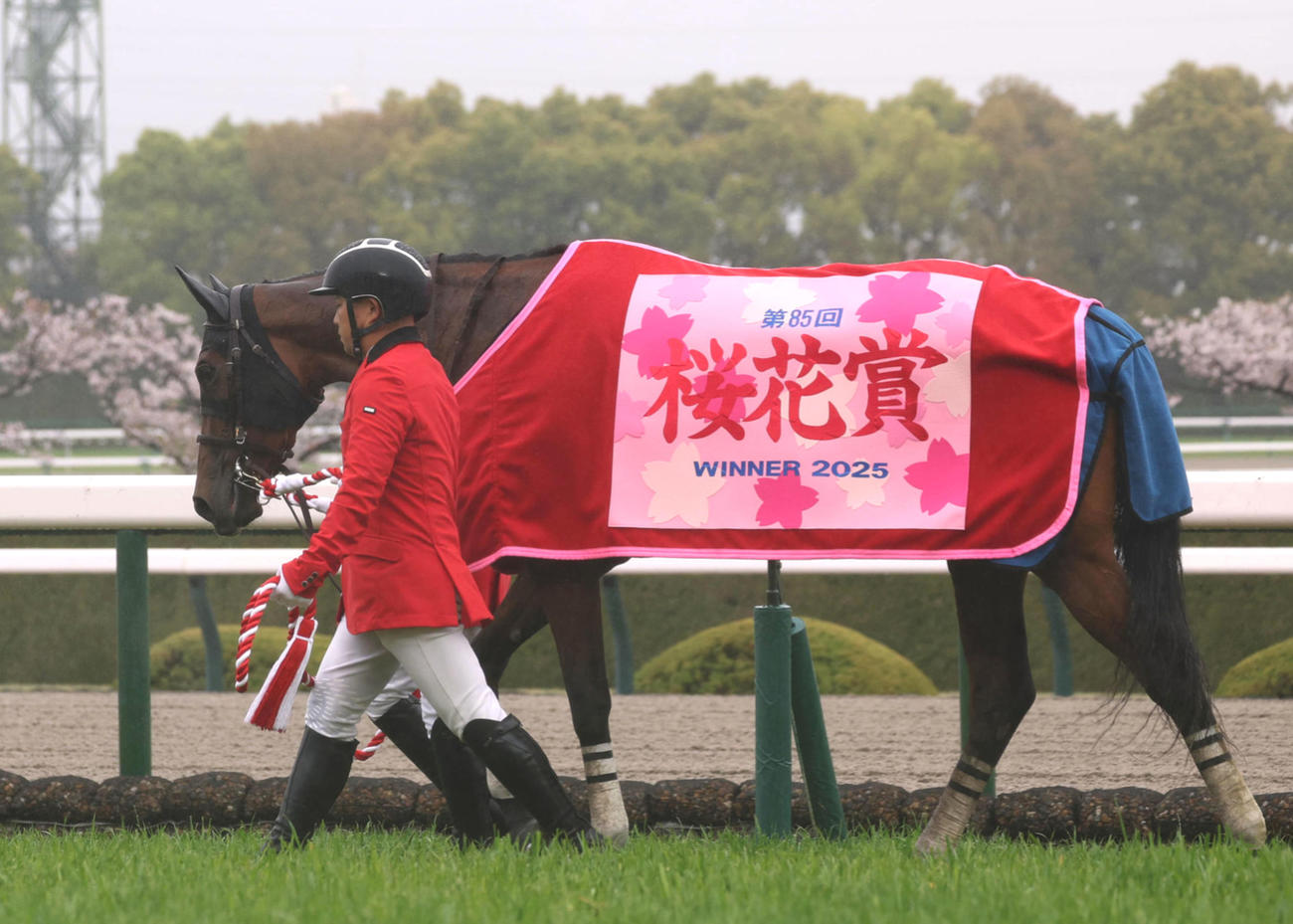 桜花賞馬エンブロイダリーはオークス参戦！近親ブエナビスタ同様に春2