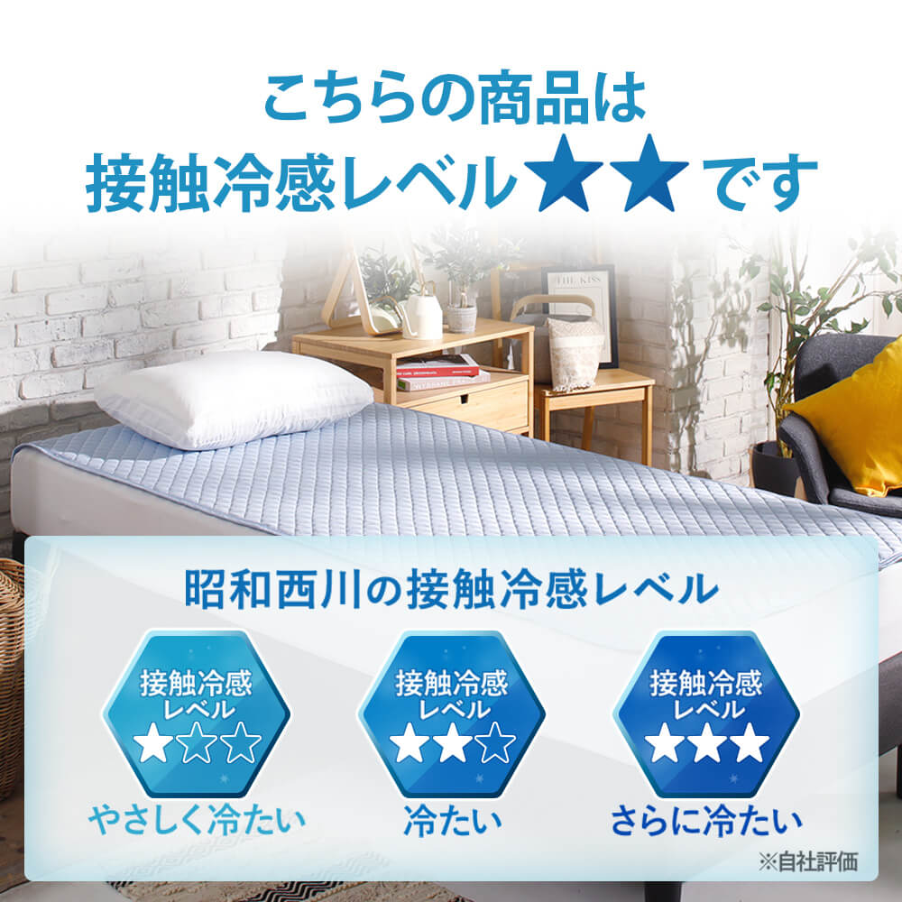 2枚セット特価】365日使えるリバーシブル敷きパッド/ マスター