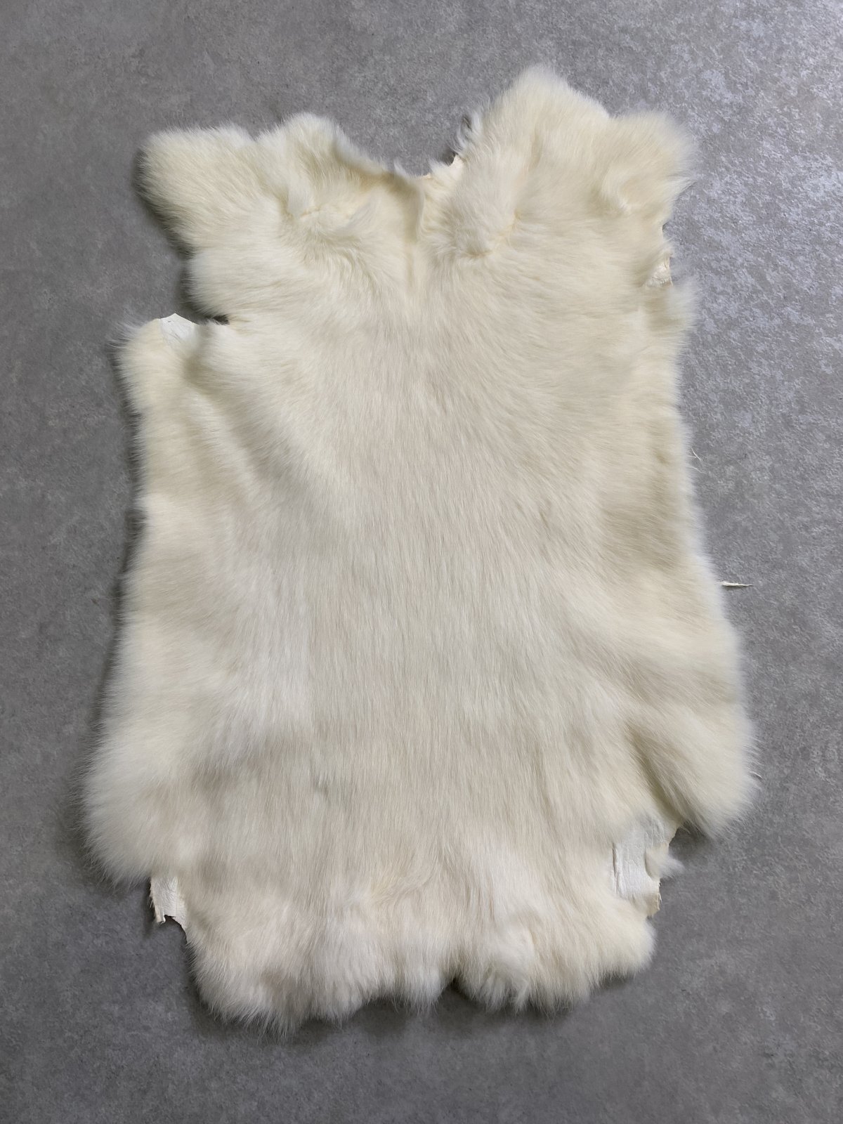 レザークラフト・革販売のニシカワレザー