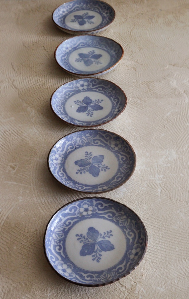 染付印判桐図16cmイゲ皿 5枚組 取り皿 盛皿 中皿 プレート イゲ皿