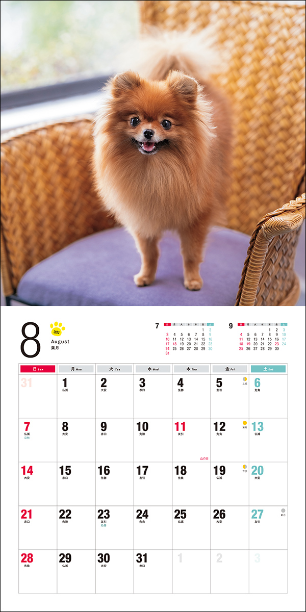 2022年 カレンダー ポメラニアン | 株式会社誠文堂新光社