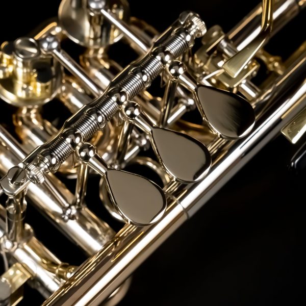 管楽器フェスタ広島】希少在庫！Schagerl/Meister シリーズ Mod.Berlin