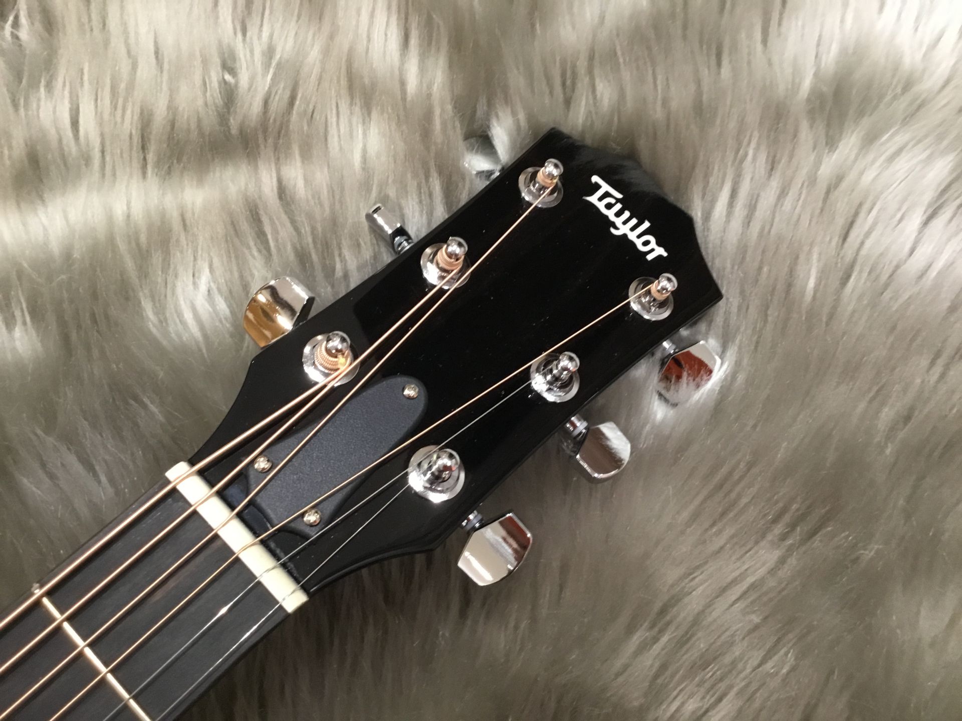 アコースティックギター】Taylor 214ce DLX BLK 入荷しました！｜島村