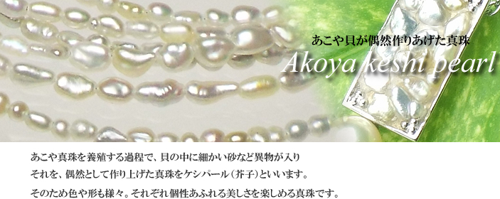 あこやケシ | 【若狭パール】 Mamiya 通販