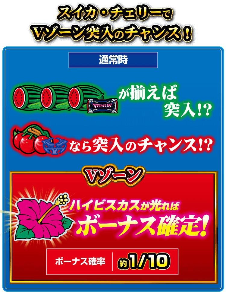 ヴィーナスゾーン｜公式サイト