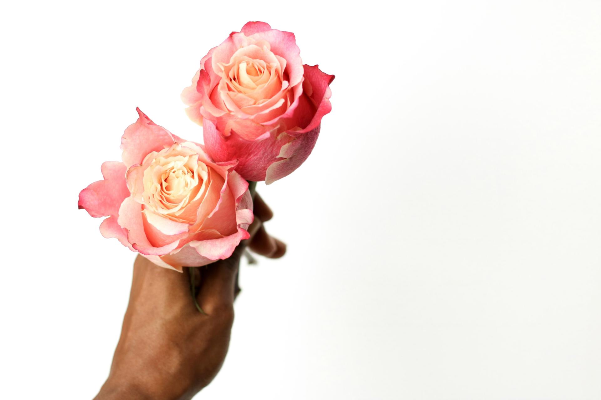 Diptyque Rosa Mundi 2017 Limited Edition Candle - Style Domination