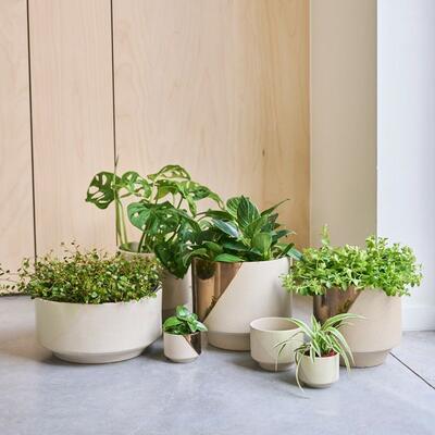 D&M DECO 鉢カバー ツヤっとした塗装が施された鉢カバー｜