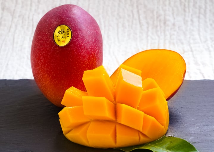 摘果マンゴー（青マンゴー） 沖縄 燦々マンゴー【公式通販2023