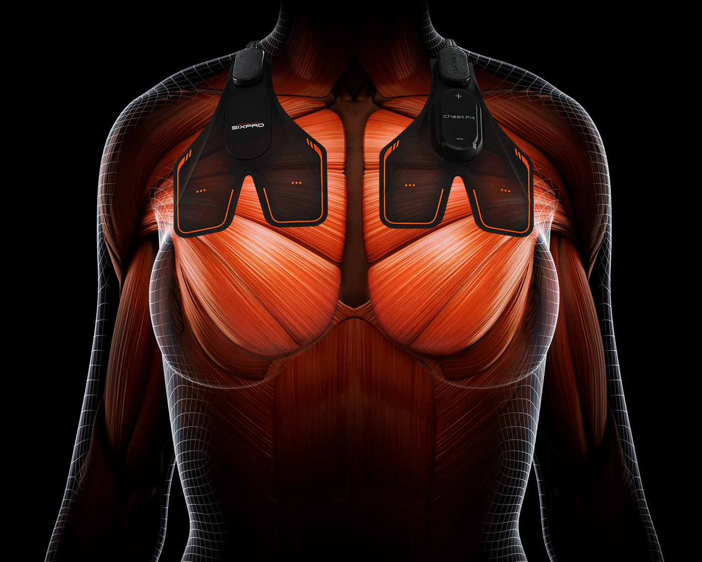 身につけて使うたび、美しいシルエットに導く。 Chest Fit | SIXPAD