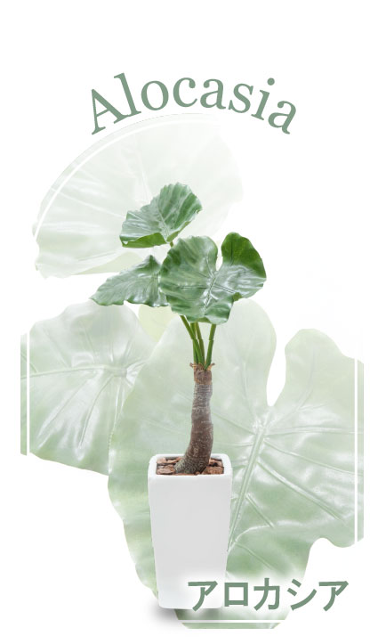 楽天市場】フェイクグリーン 観葉植物 フェイク 人工観葉植物 大型