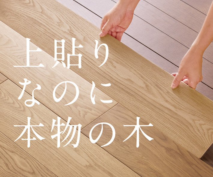 ライブナチュラルMSX スマートレイヤー｜ライブナチュラル