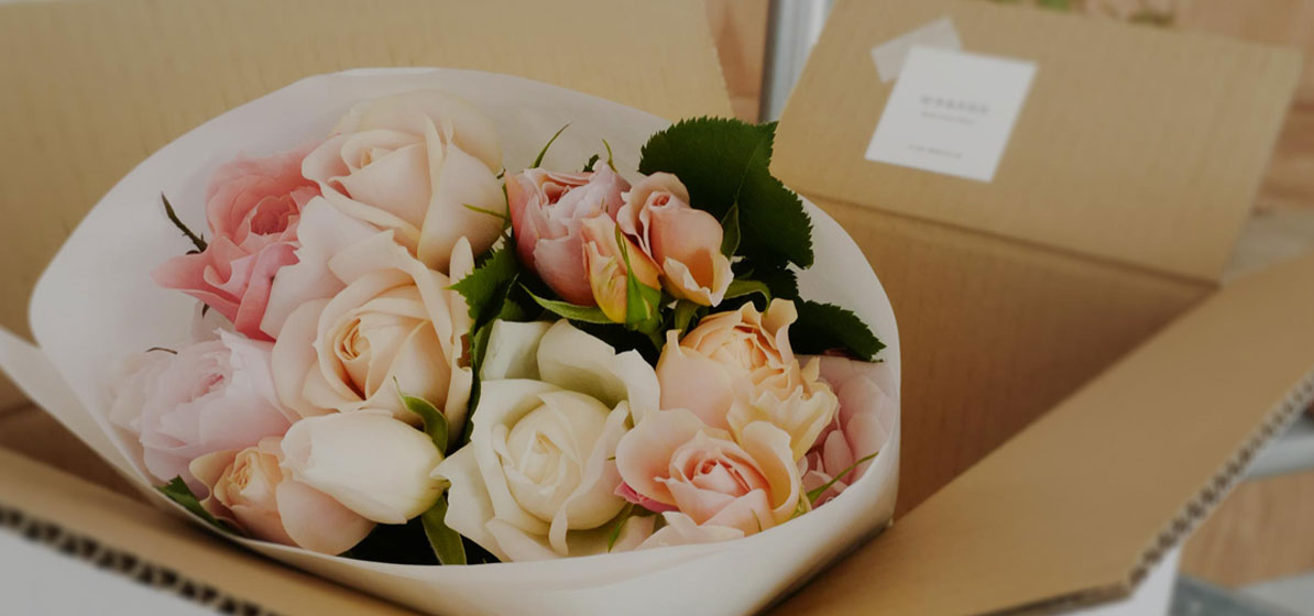 全ての商品 – WABARA online store